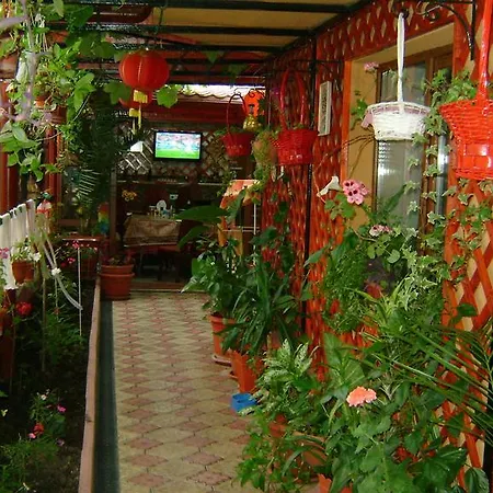 Guest house Mihai Eforie Nord
